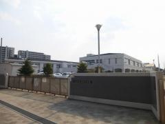 桂小学校