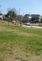 出川南公園
