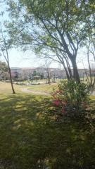 出川南公園
