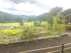 船岡竹林公園