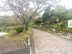 船岡竹林公園