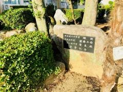 杁小学校