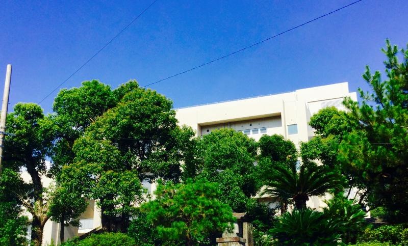 長崎大学坂本地区キャンパス1