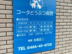 コータどうぶつ病院