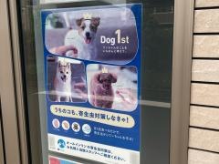 コータどうぶつ病院