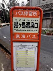 「湯ケ島温泉口」バス停留所