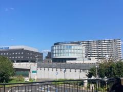ＴＯＹＯ　ＴＩＲＥＳ　ターンパイク