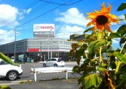 愛知トヨタ　三河安城北店