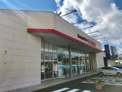 ファッションセンターしまむら　田尻店