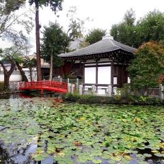 円照寺