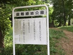 盆栽緑地公園
