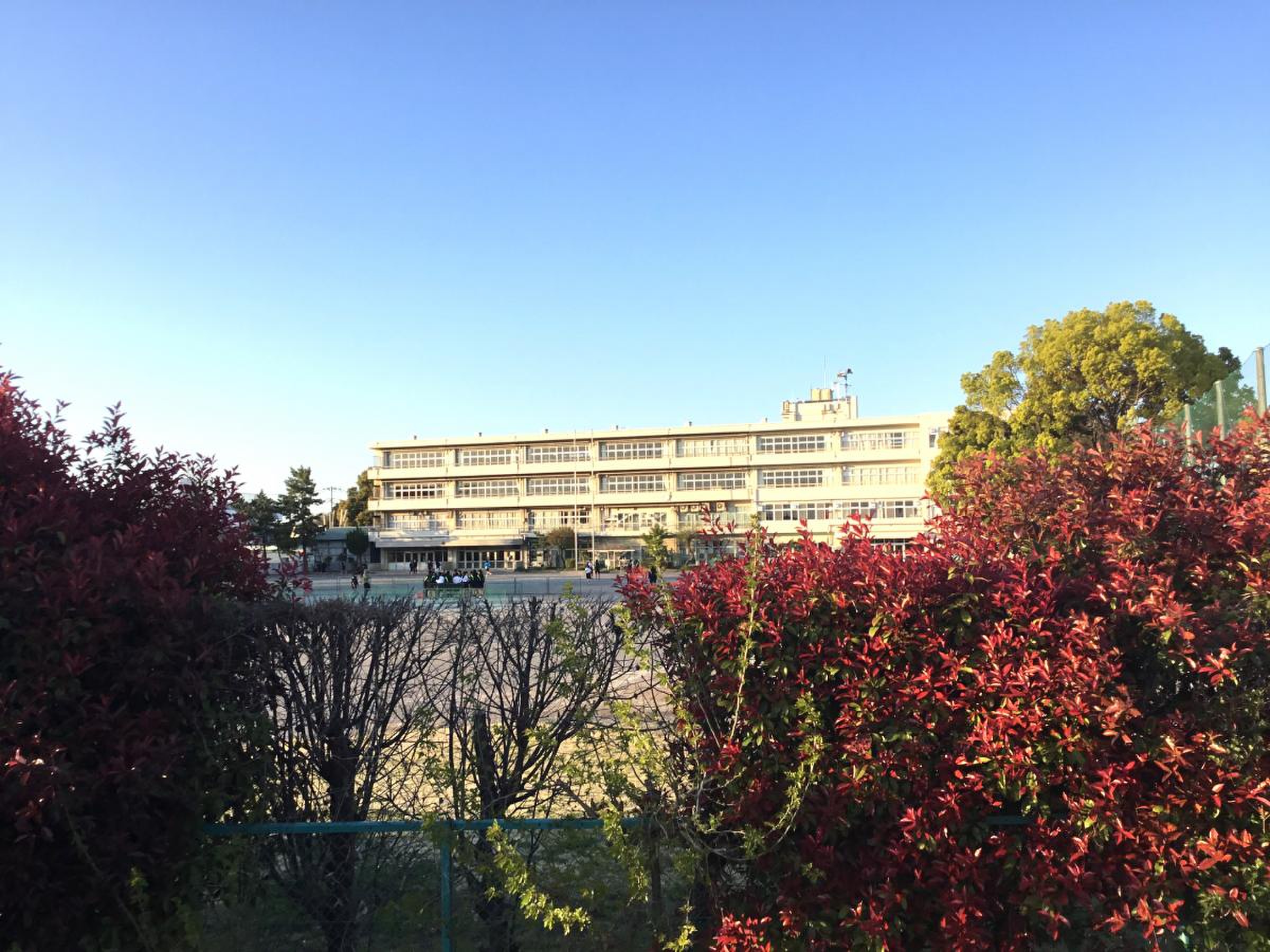 東 久留米 市立 大門 中学校
