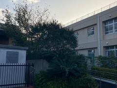 下郷小学校