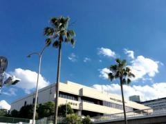 堺市立南図書館