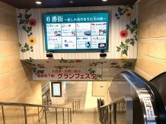 グランフェスタ