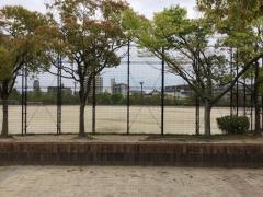 百道中央公園