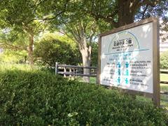 百道中央公園