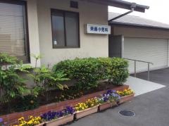 斉藤小児科医院