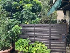 中国厨房　ローズヒップ（薔薇果）