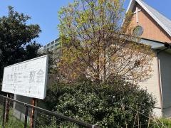 熊本聖三一教会