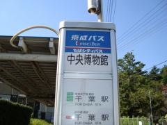 「中央博物館」バス停留所
