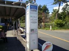 「中央博物館」バス停留所