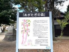 山神社