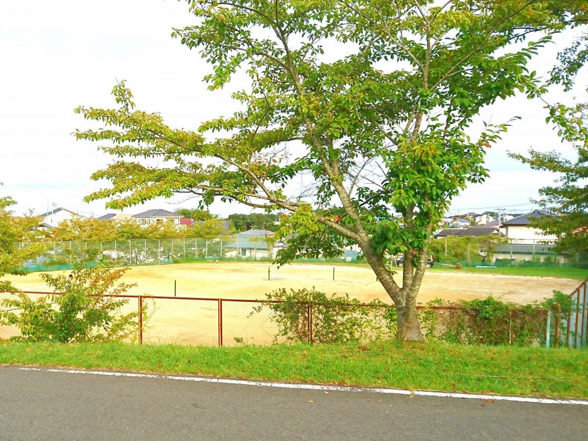 金山公園