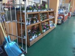 ドラッグ・エース岡店