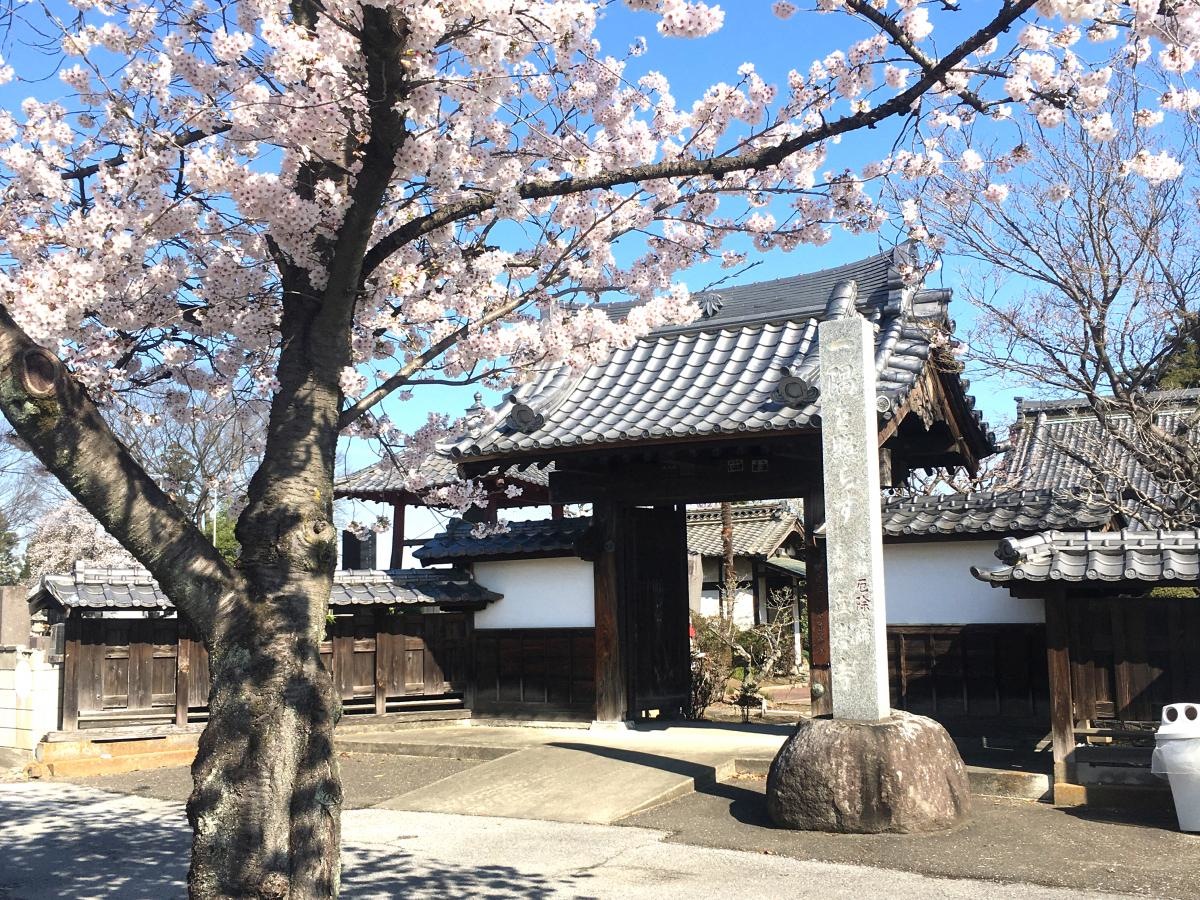 施設外観です。