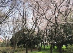 清久町三号緑地