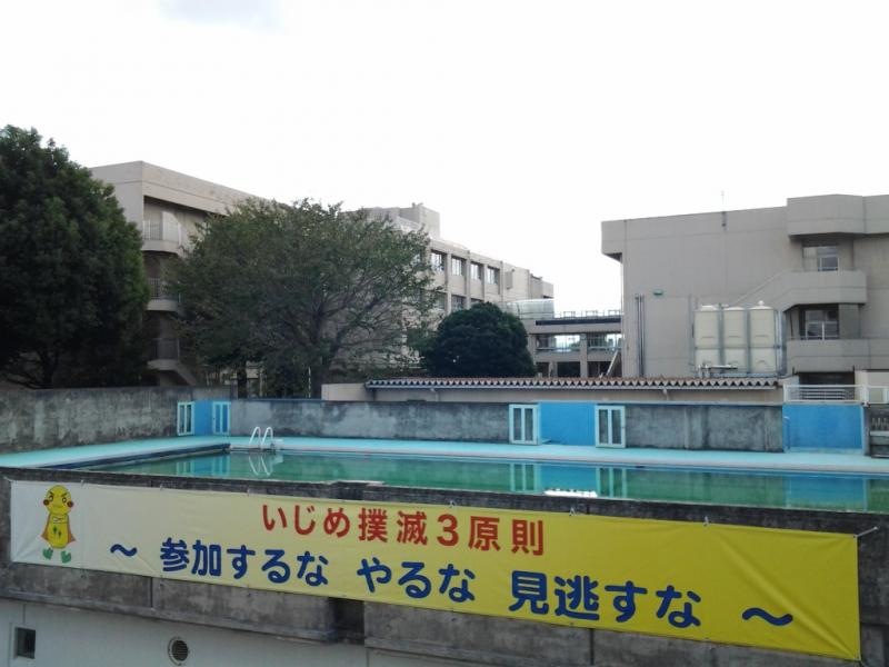 プール