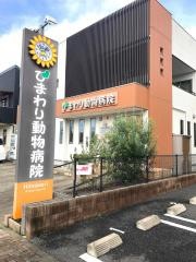 ひまわり動物病院