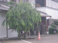 藤田家
