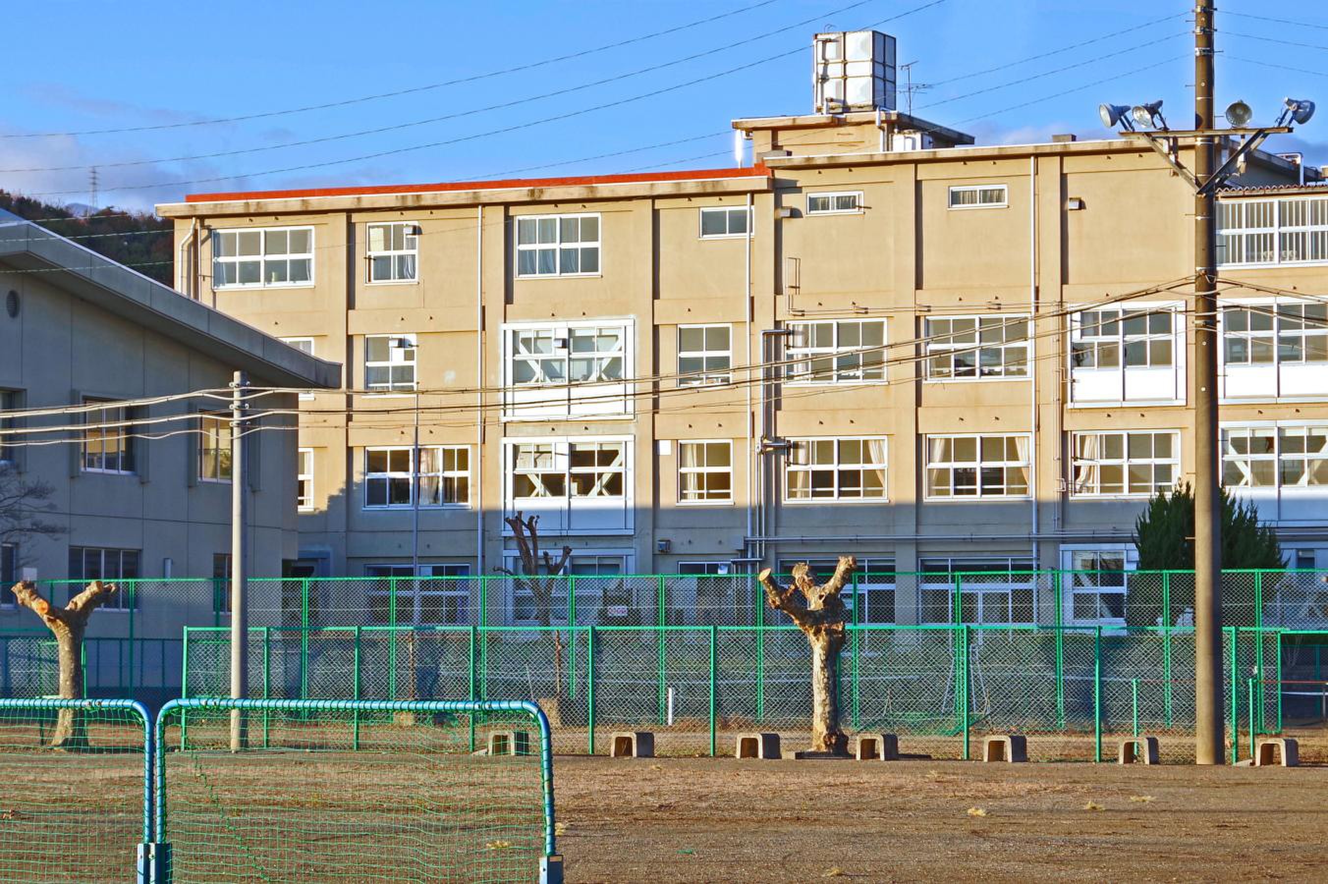 公の場での発言・インタビュー報道記録