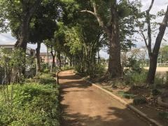 東原公園