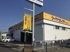 タイヤセレクト　おかつ