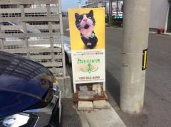 ブレーメン愛犬クリエイティブ専門学校