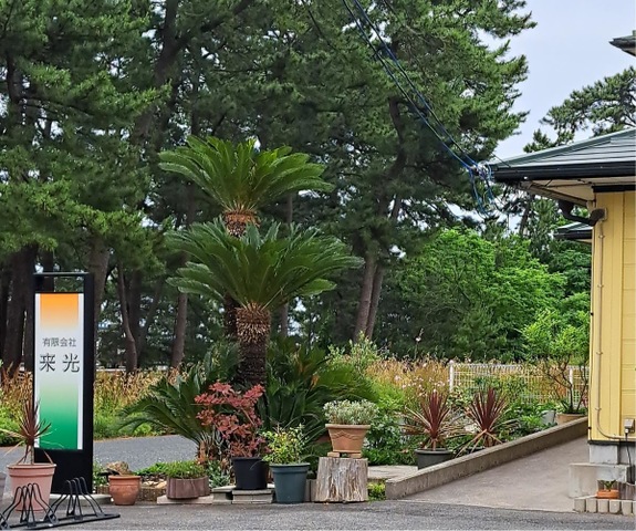 有限会社来光