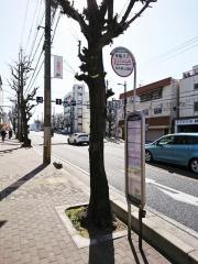 「中の島公園前」バス停留所