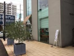 白バラ　　春日店