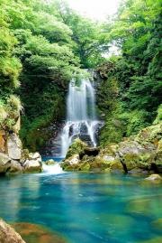 奈曽の白滝