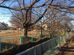 久喜東小学校