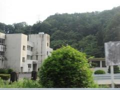 日吉小学校