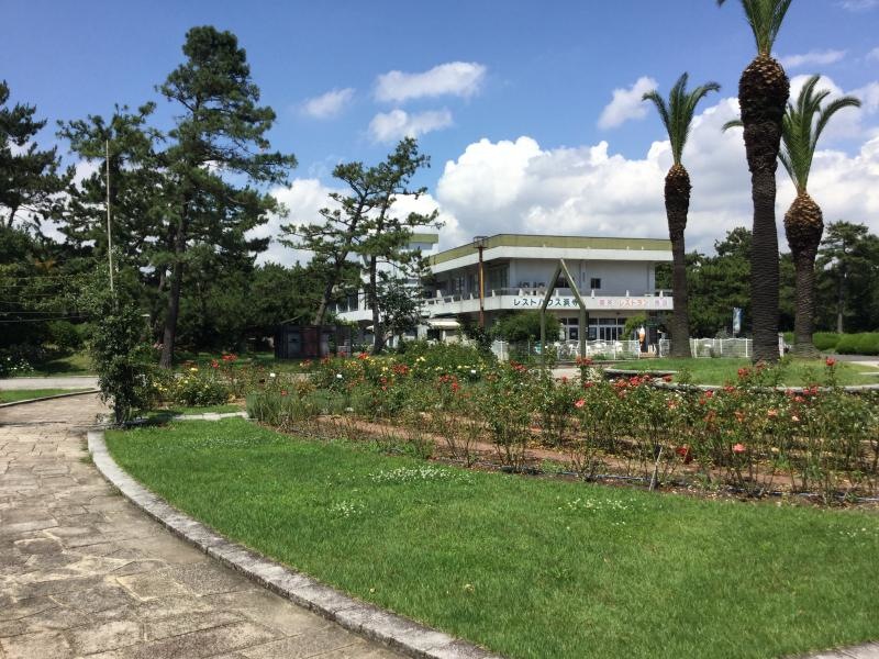浜寺公園の園内風景です