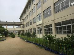 氷丘南小学校