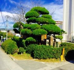 真津山小学校