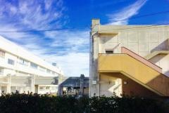 真津山小学校