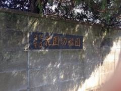 花園幼稚園