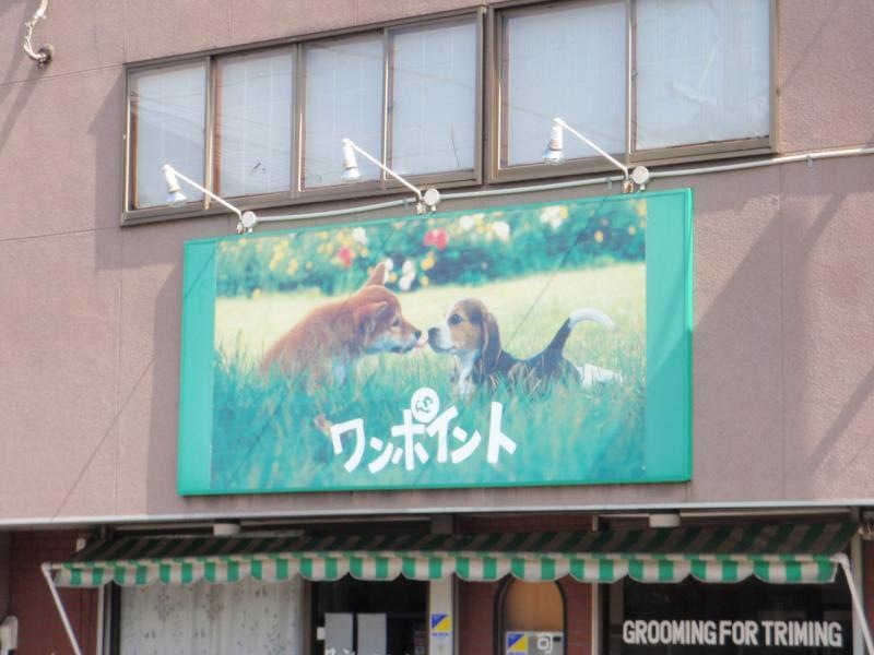 名称看板